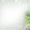 powerpoint_001